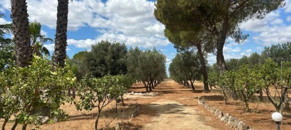 3 rooms Villa in Grottaglie, Italy No. 295984 69