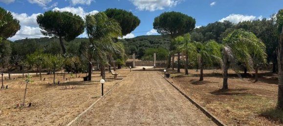 3 rooms Villa in Grottaglie, Italy No. 295984 39