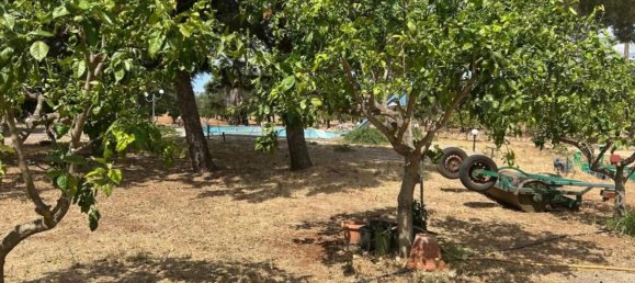 3 rooms Villa in Grottaglie, Italy No. 295984 44