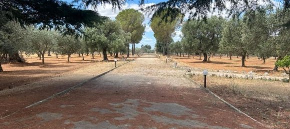 3 rooms Villa in Grottaglie, Italy No. 295984 5