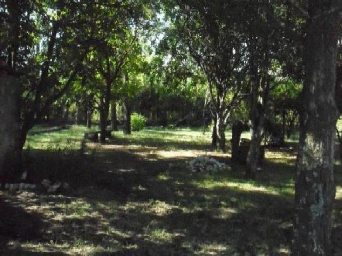 3 chambres Maison à Cordoba, Argentina No. 58549