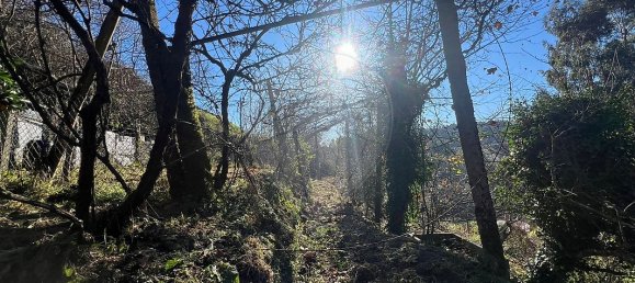 Дом с 3 спальнями в Селорику ди Башту, Португалия № 41727 22