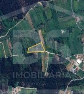 3000m² Land in Ourem, Portugal No. 91935