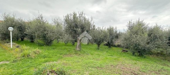 4 rooms House in Velletri, Italy No. 233233 23