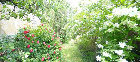 Студия в Занкт Пёльтен, Австрия № 220695 23