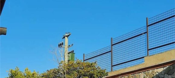 Casa de 14 habitaciónes en Soave, Italy No. 299822 8