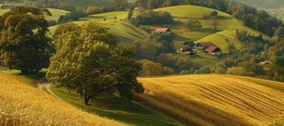 5-Zimmer Villa in Castagneto Po, Italy, Nr. 79526 38