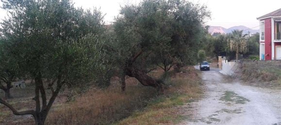  Hotel in Zakynthos, Greece No. 564 6