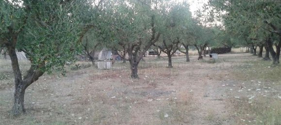 Grundstück in Zakynthos, Greece, Nr. 564 3