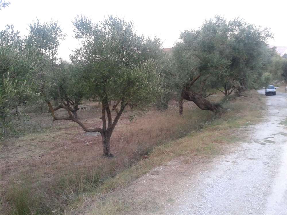 Grundstück in Zakynthos, Greece, Nr. 564