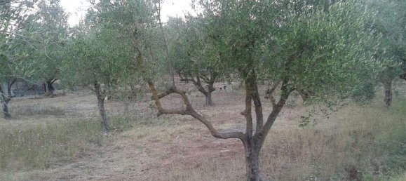  Hotel in Zakynthos, Greece No. 564 2