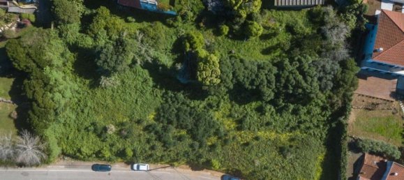 2240m² Land in Cascais, Portugal No. 123824 25