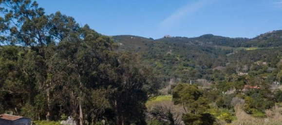 2240m² Land in Cascais, Portugal No. 123824 4