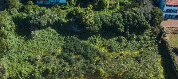 2240m² Land in Cascais, Portugal No. 123824 18