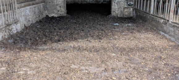 6غرفة مزرعة في Nordfriesland, Germany رقم 357603 12