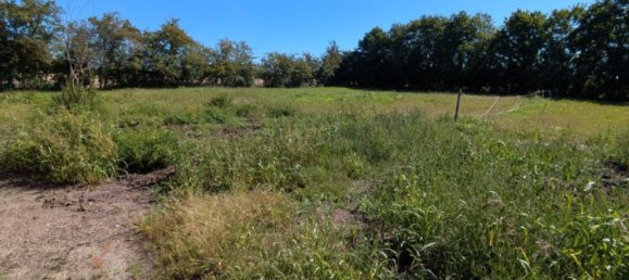 6غرفة مزرعة في Nordfriesland, Germany رقم 357603 7