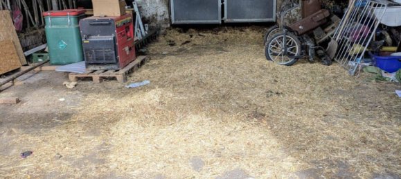 6غرفة مزرعة في Nordfriesland, Germany رقم 357603 11