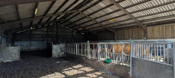 6غرفة مزرعة في Nordfriesland, Germany رقم 357603 16