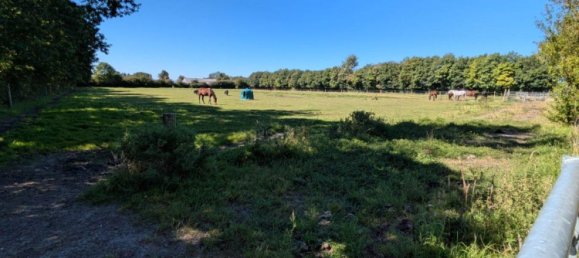 6غرفة مزرعة في Nordfriesland, Germany رقم 357603 8