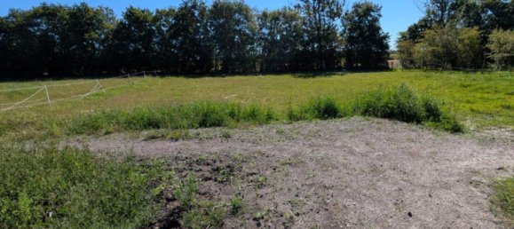 6غرفة مزرعة في Nordfriesland, Germany رقم 357603 9