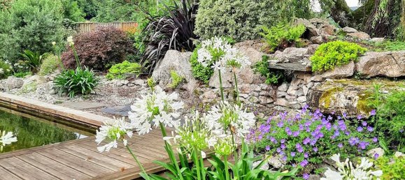 6 chambres Maison à Orthez, France No. 101576 3