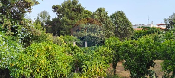 12-Zimmer Wohnung in Bari, Italy, Nr. 16433 47