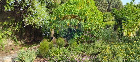 12-Zimmer Wohnung in Bari, Italy, Nr. 16433 49