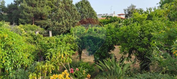 12-Zimmer Wohnung in Bari, Italy, Nr. 16433 46