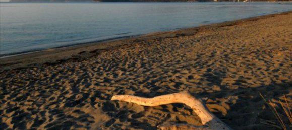 13527m² Hotel in Laconia, Greece No. 6461 3