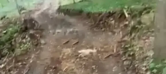 Studio in Ischitella, Italy, Nr. 117385 3