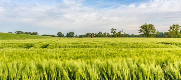 3 bedrooms House in Dormagen, Germany No. 42529 14