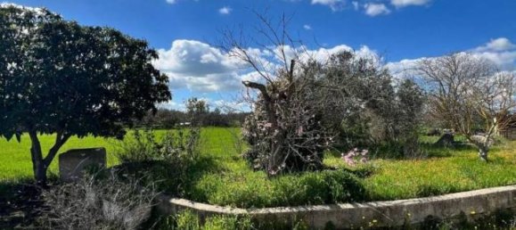 3 rooms Villa in Gioia del Colle, Italy No. 137976 15