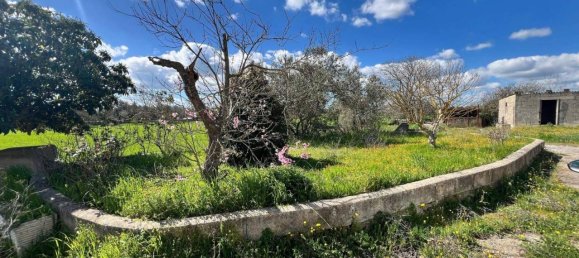 3 rooms Villa in Gioia del Colle, Italy No. 137976 14