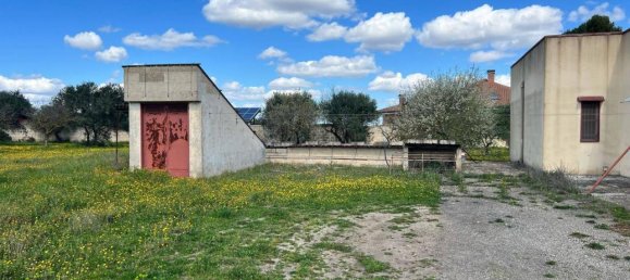 3 rooms Villa in Gioia del Colle, Italy No. 137976 13