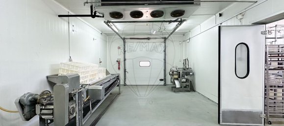 982m² Warehouse in Alcacer do Sal, Portugal No. 154936 14