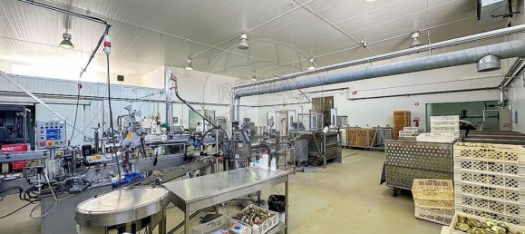 982m² Warehouse in Alcacer do Sal, Portugal No. 154936 10