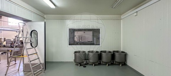 982m² Warehouse in Alcacer do Sal, Portugal No. 154936 16