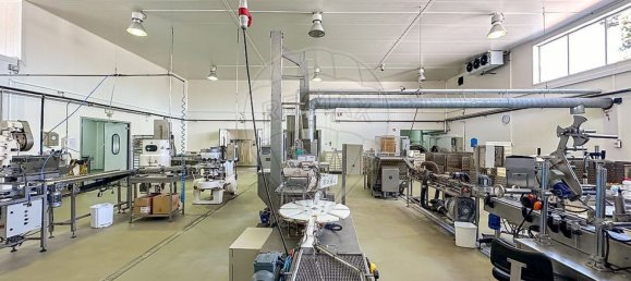 982m² Warehouse in Alcacer do Sal, Portugal No. 154936 11