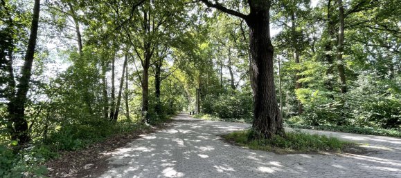 Moradia em banda T5 em Hanover, Germany N.º 235274 9