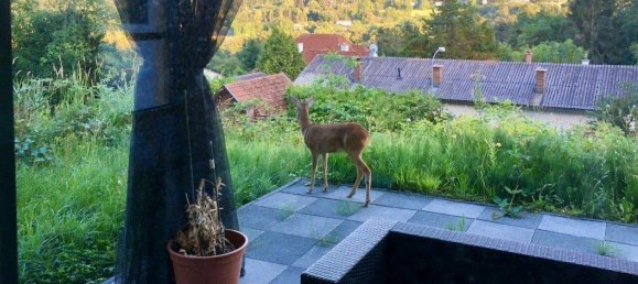 6-Zimmer Villa in Eichgraben, Austria, Nr. 202604 18