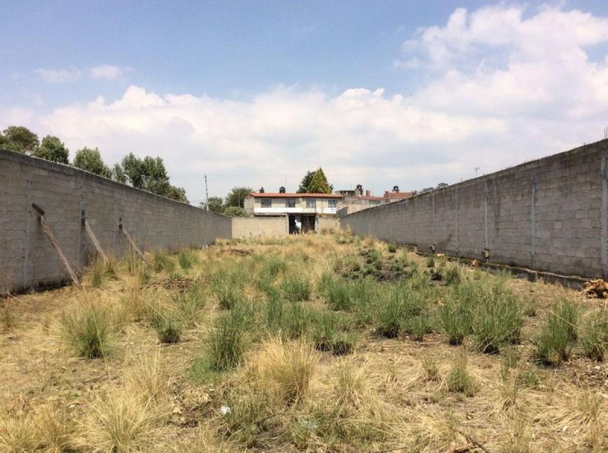 Terreno em Mexico N.º 204015