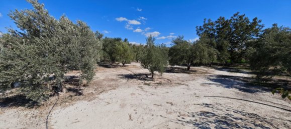  قطعة أرض في Larnaka, Cyprus 2973متر مربع رقم 181345 6