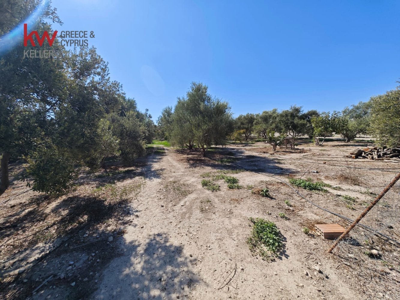  قطعة أرض في Larnaka, Cyprus 2973متر مربع رقم 181345