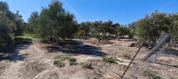 قطعة أرض في Larnaka, Cyprus 2973متر مربع رقم 181345 2