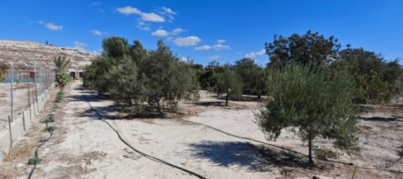  قطعة أرض في Larnaka, Cyprus 2973متر مربع رقم 181345 8