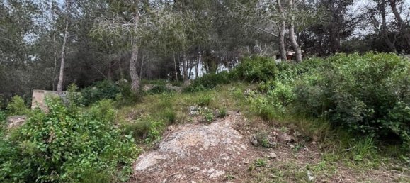 Grundstück in La Bisbal Del Penedes, Spain 465m², Nr. 23808 11