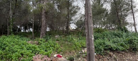 Grundstück in La Bisbal Del Penedes, Spain 465m², Nr. 23808 10