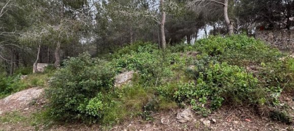 Grundstück in La Bisbal Del Penedes, Spain 465m², Nr. 23808 12