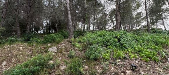 Grundstück in La Bisbal Del Penedes, Spain 465m², Nr. 23808 9