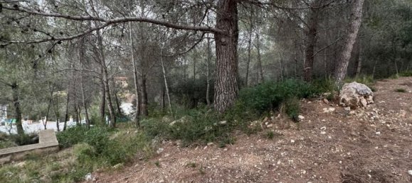 Grundstück in La Bisbal Del Penedes, Spain 465m², Nr. 23808 13